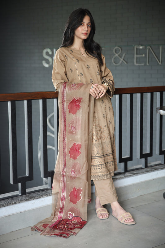 Brosha Lawn with Fancy Organza Dupatta