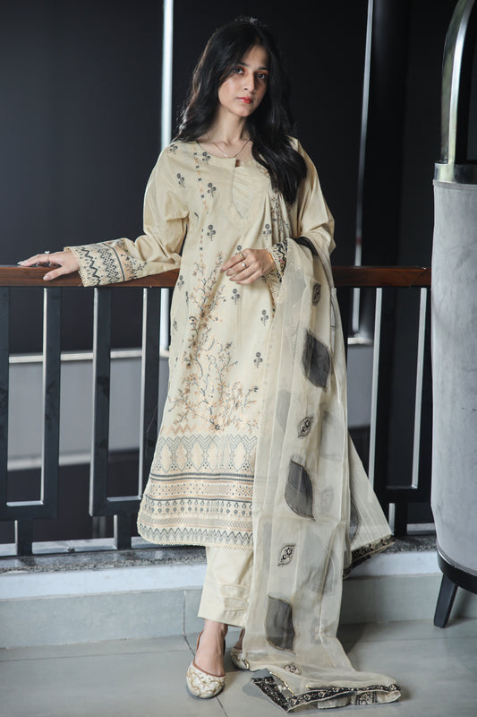Brosha Lawn with Fancy Organza Dupatta