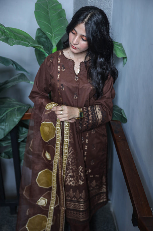 Brosha Lawn with Plain Trouser and Fancy Organza Dupatta