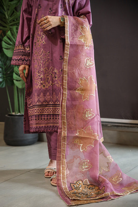 Brosha Lawn with Fancy Organza Dupatta