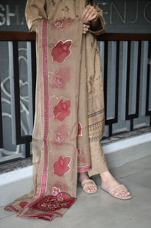 Brosha Lawn with Fancy Organza Dupatta